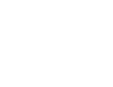Council of Europe (COE)