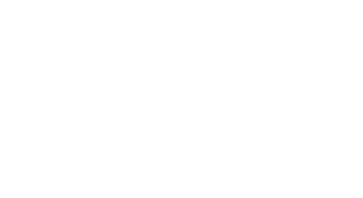 ECCO Armenia IT Partner