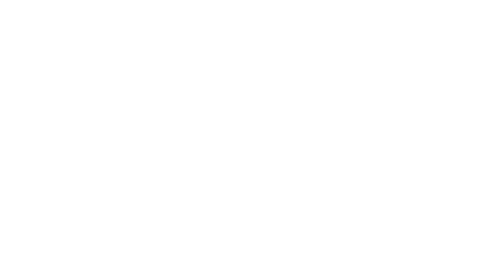 Guess Armenia Retail IT