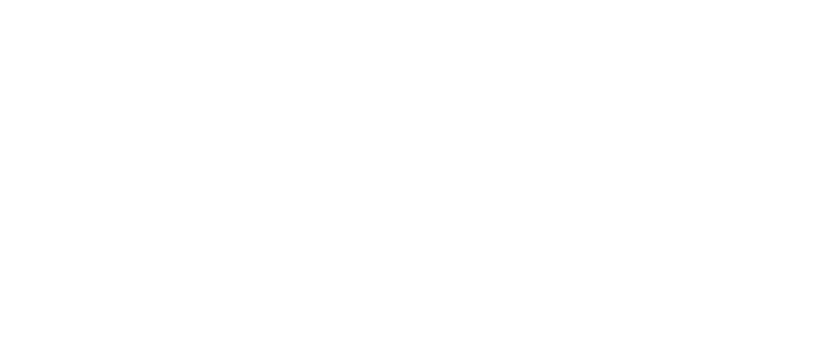 Parvanyan Consulting